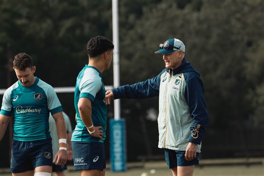 Schmidt wants Wallabies to rise to Springbok challenge