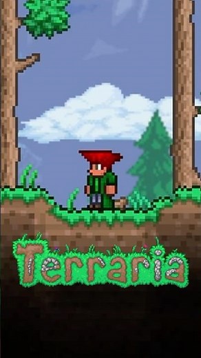 Can You Beat Terraria With ONE item?