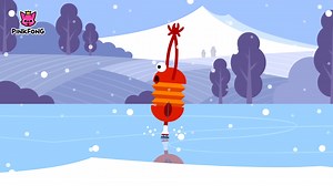 Seasons | Spring Summer Fall Winter