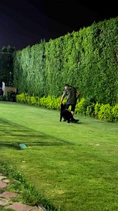 #ZAZA Drago Team ❤️❤️❤️ | Drago Team