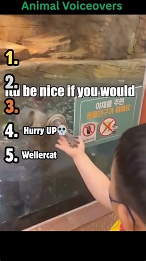 animal voice overs #animals #funny #idk #memes #idk #voiceover