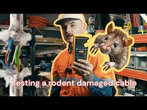 Insulation Resistance Testing A Damaged Cable - How does water affect your results? / Fluke 1507