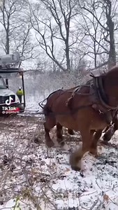 114K views · 1.7K reactions | SOME REAL HORSEPOWER  | Diesel truck addicts | Facebook