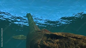 Mosasaurus acuatic dinosaur in action jurassic era animation 3D