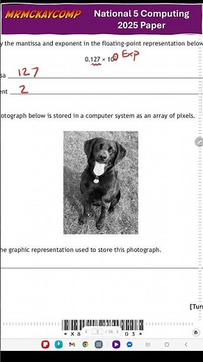N5 Computing 2025 Paper Q4 & Q5 (Floating point, bitmaps & vectors)