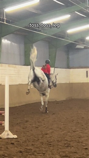 Mastering the Toss, Toss, Leg Technique in Show Jumping