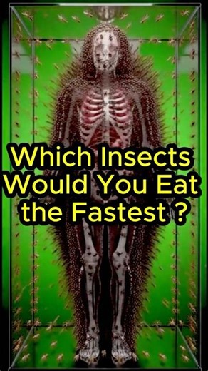 These Insects Can Eat You Faster Than You Think