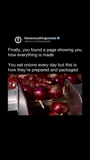 How Everything Is Made on Instagram: "Onions start as tiny seeds, planted directly into soil or grown as seedlings. As the plant matures, its green shoots grow upward while energy is stored underground, where the bulb slowly forms. The bulb grows in layers, each one a modified leaf base that swells as the plant matures. Day length plays a huge role — some onions need long summer days, others grow better in shorter daylight conditions. Once the tops naturally fall over and dry, farmers know the o