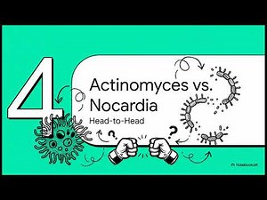Filamentous Bacteria: Nocardia and Actinomyces Species