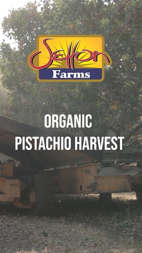 5.6K views · 78 reactions | Have you tried Setton Farms Organic Dry...