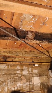 Why scrub when you can spray? ✨ RMR Solutions removes mold and mildew stains instantly, making tough cleaning jobs a breeze. Try it today and see the magic! Click the link in our bio or visit rmrsolutions.com to grab your RMR products now ☝🏼 ⁠ #rmr #rmrsolutions #mold #moldremoval #moldremediation #homecleaning | RMR Solutions, LLC