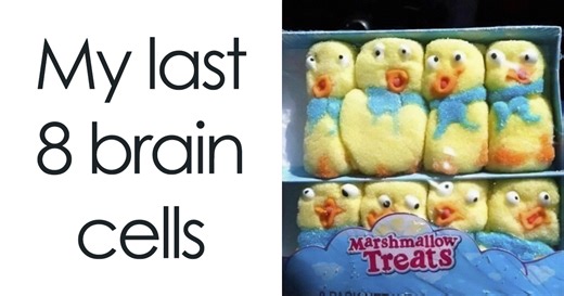 50 Random And Relatable Memes That Might Make You Laugh (New Pics)