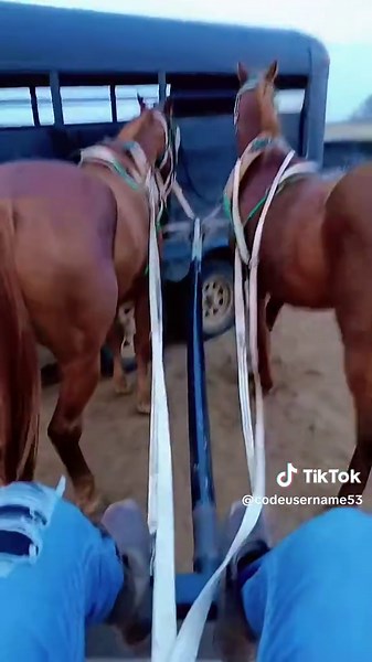 #racing #season is upon us. #Chuckwagon #chariot #carts #horsesoftiktok #racing #letsgo