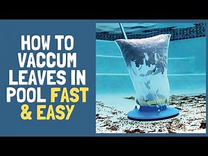 How to Vacuum Leaves in Pool Fast & Easy