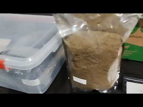 Sticker Quality Test (Laser Printing + Art board Sticker paper)