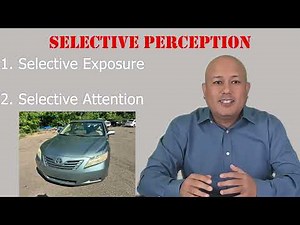 How Selective Perception works - A step by step guide
