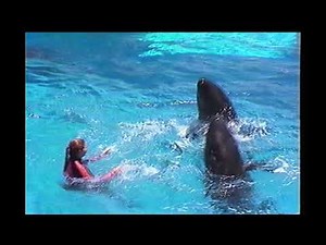 Castillo Family day 2 Seaworld 2002