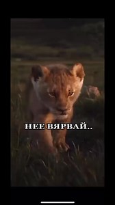 68K views · 1.2K reactions | Xat Radio-Tytyrytka on Reels | Facebook