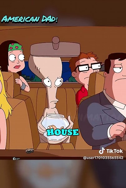 Stan's Epic Dive into the Pool