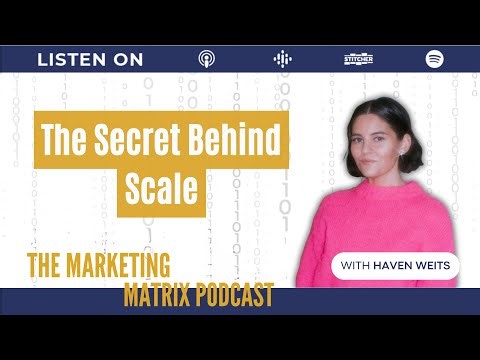 The Power of Integrators in Business Growth with Haven Weits : TMM 146