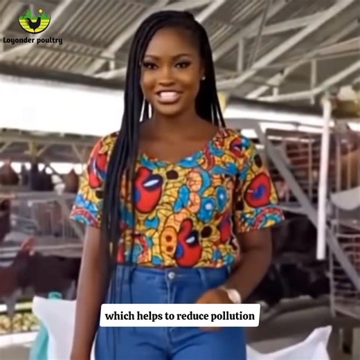 568K views · 15K reactions | A New method of farming revealed! Watch to unravel! Loyonder Poultry is committed to helping you raise healthy, profitable birds by supplying High-quality, well-vaccinated day-old chicks and access to Professional Ebooks for a smooth poultry journey. Chat with me on Whatsapp https://wa.me/2347069074379 For updates join our WhatsApp channel https://whatsapp.com/channel/0029VarMIqw59PwaGe05Dc0F | Loyonder Poultry | Facebook