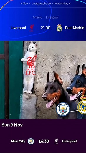 144 reactions | UCL 25/26 League Phase Liverpool FC vs Real Madrid and Premier League Man City vs Liverpool FC prediction edit Memes #football #futbol#fussball #meme | Mate Mate | Facebook