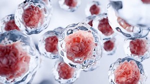 clip-3594962331-human-cells-death-embryonic-stem-cell-metastasis