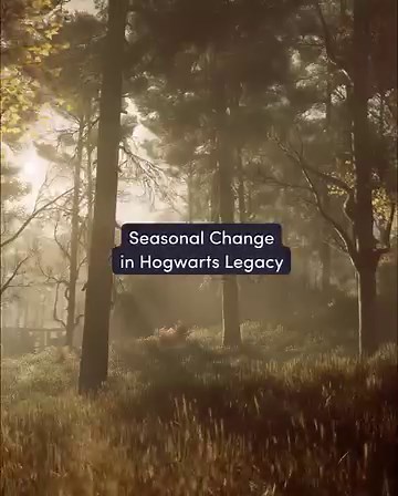 36K views · 2.3K reactions | At Hogwarts, each season brings its own kind of enchantment #HogwartsLegacy | Harry Potter | Facebook