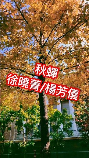 徐曉菁/楊芳儀 名曲「秋蟬」❤️❤️❤️❤️❤️❤️👍👍👍👍👍👍