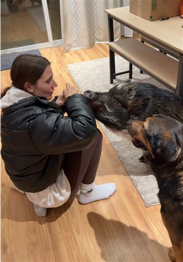 A Memorable Plane Ride Back Home