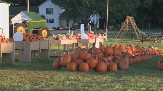 Scottsburg's Cornucopia Farm gets into the fall spirit
