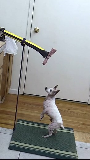 1.7M views · 12K reactions | Joseph's Machines on Reels | Facebook