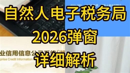 自然人电子税务局扣缴端，各种报错怎么解决