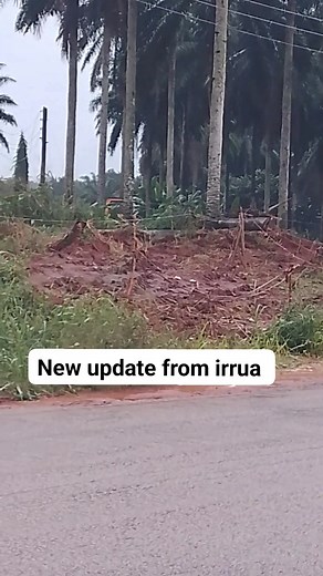 1.8K reactions · 99 shares | New update from irrua Please like comment and share but don't forget to press the follow button for more updates thanks ❤️﫶. Akugbe Ahu  #highlight #trend #trendingnow | Omonzane Akhere Oleabhiele | Facebook