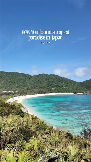 Tokashiki Island, Okinawa 🌺🇯🇵 #travel #japan #okinawa