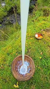 We Deep Fried an ENTIRE Chicken... Would You Try It