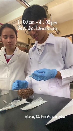 Experiencing Voiceovers for the First Time