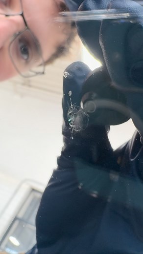 What a windshield repair looks like start to finish | ProGlass Windshield Repair