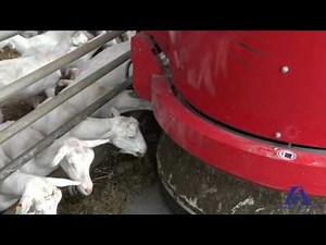 Automatic robotic feeder - lely vector - in use on a goat farm in Holland