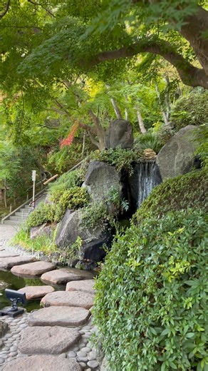 SECRET GARDEN | Japan 🇯🇵 SOUND OF NATURE #shorts