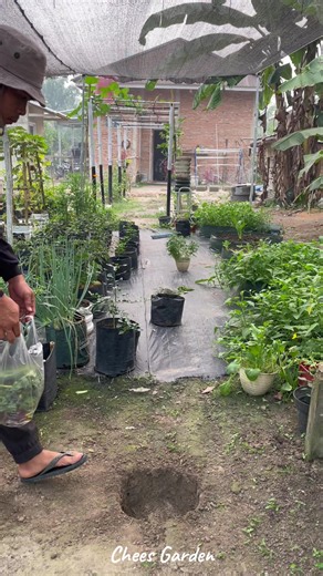 Membuat kompos #gardening #kompos | Gardening