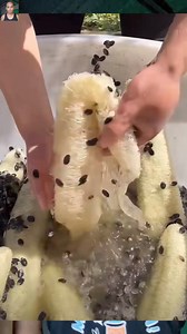 1.5M views · 10K reactions | Marami pa lang pakinabang ang patola hindi lang pang gulay pwede rin pala gawing materyales sa pag gawa ng sapatos | Rame Niel | Facebook