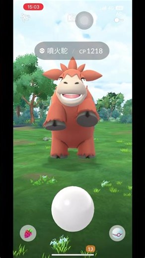 極限excellent大挑戰-#323噴火駝會心捕捉(Critical Catch on Camerupt)