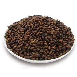 Cassia Tora Seeds - Wholesale Price & Mandi Rate for Senna Tora Seeds in India