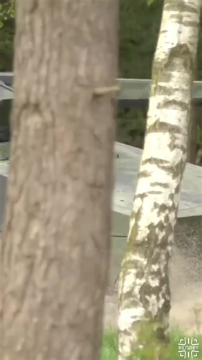 ❗ KF41 Lynx: Ukraine Chooses IFV for Local Production. Last week, during a meeting in the Ramstein format, the defense ministers of Ukraine and Germany signed an agreement to establish joint production of the Lynx in Ukraine. Rheinmetall plans to open the plant by the end of 2025. 👉🏻 Read more here: https://militarnyi.com/en/news/kf41-lynx-ukraine-chooses-ifv-for-local-production/ | Militarnyi