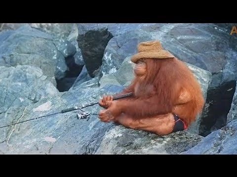 monke fishing