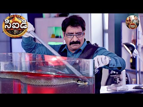 విషపూరిత పాము సహాయంతో డాక్టర్ సలుంఖే ఈ కేసును ఎలా పరిష్కరించాడు ? | CID | సీఐడీ | Full Episode 1110