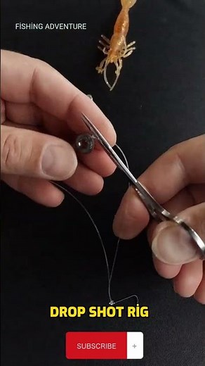 How To Setup A Drop Shot Rig ? - Drop Shot Fishing Rig