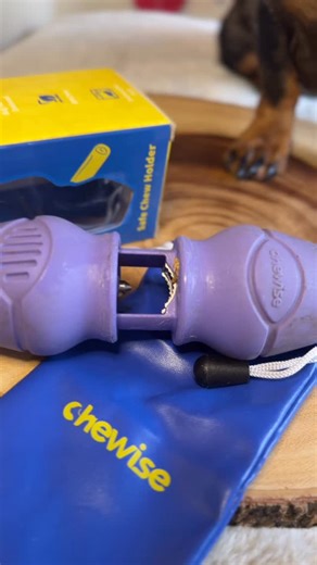 Norman Quincy Fielding on Instagram: "Minnie believes she has two settings: 1. Princess 👑 2. Python 🐍 The @chewiseofficial treat holder was introduced after a particularly ambitious chew incident. It locks the chew in place so there’s no heroic last gulp. It slows things down. It stretches the snack. And it gives Mumma that sweet, underrated luxury: not hovering in mild anxiety. Three sizes. BPA free. Dishwasher safe. Lifetime warranty, which feels like the brand saying, “We stand by this.” We