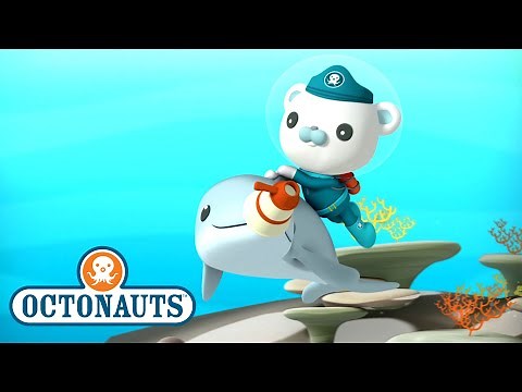 ‪@Octonauts‬ - The Dolphin Reef Rescue | Full Episode 44 | ‪@Kidzuko‬